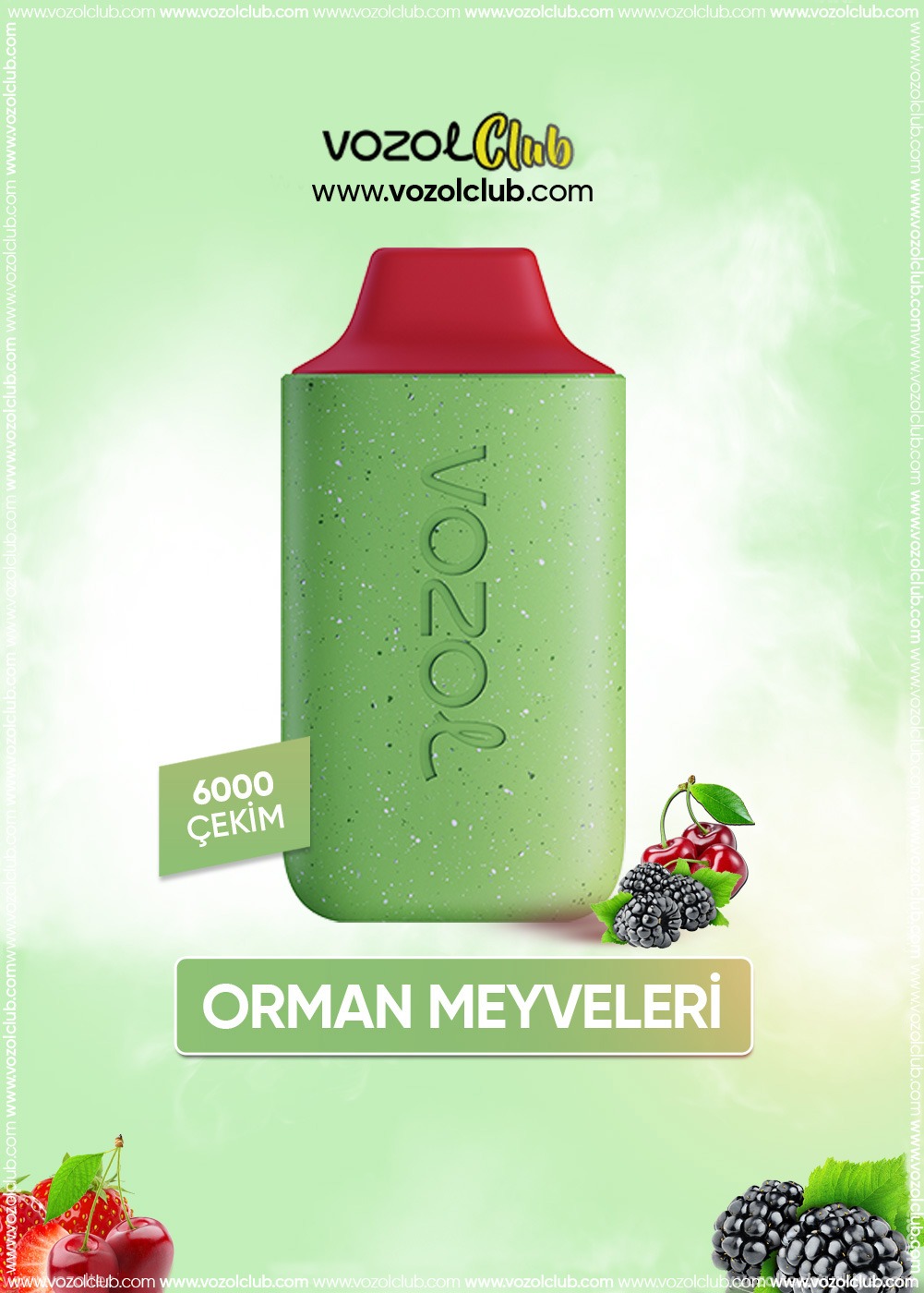 Vozol 6000 Forest Berry Storm