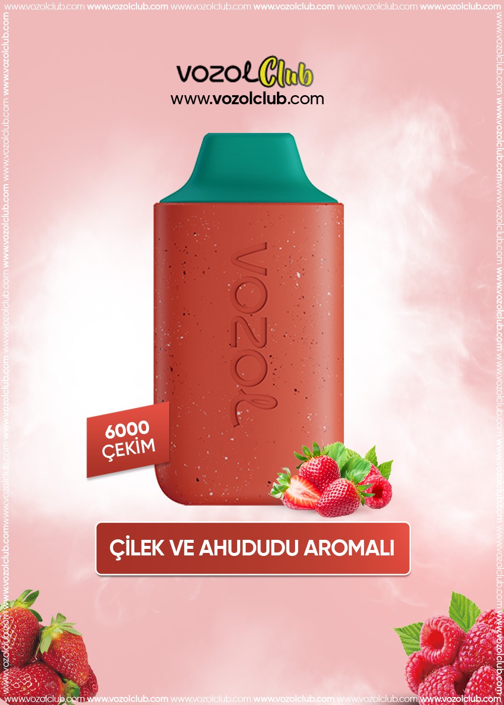 Vozol 6000 - Strawberry Raspberry