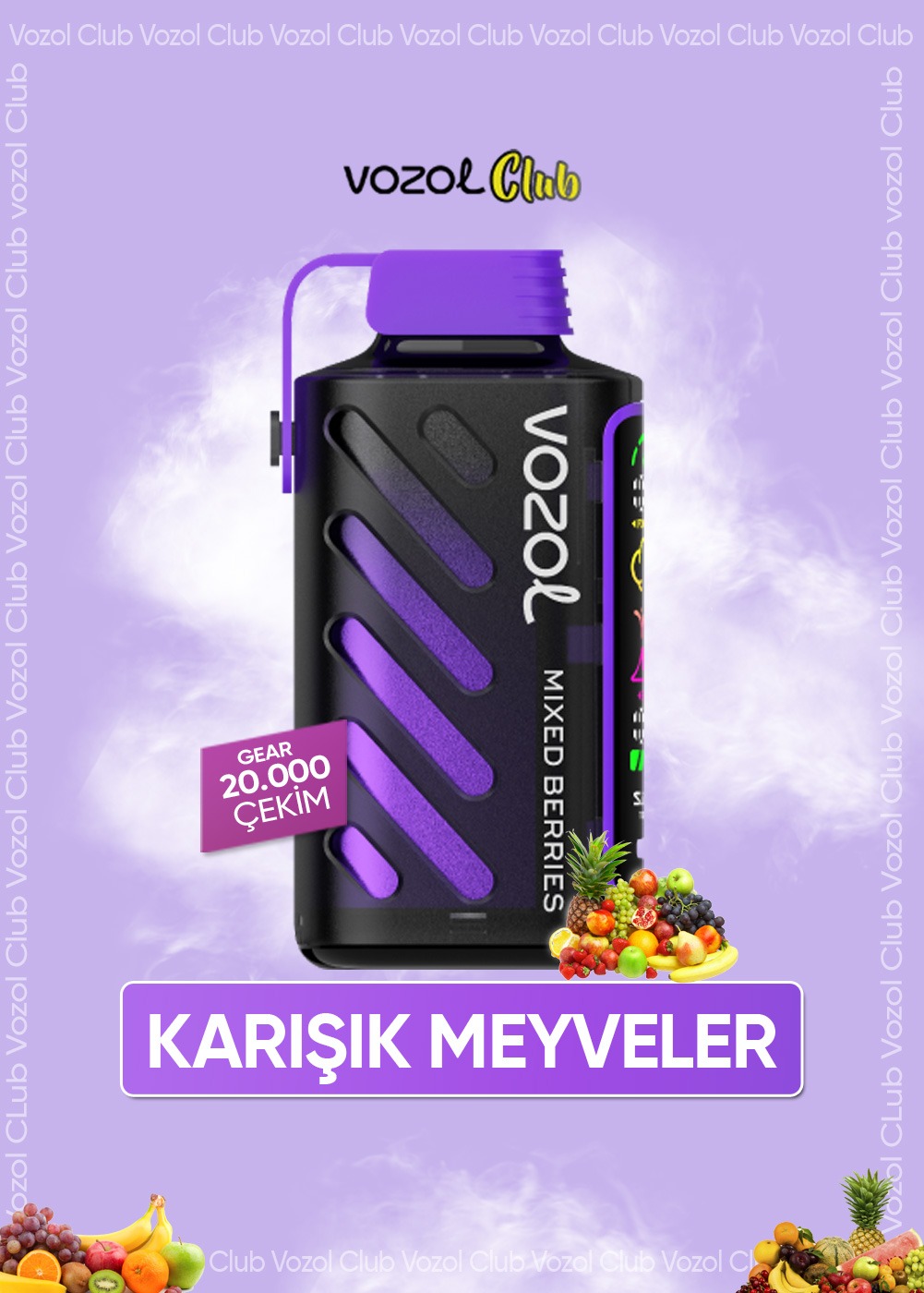 Vozol Gear Power 20000 Mixed Berries