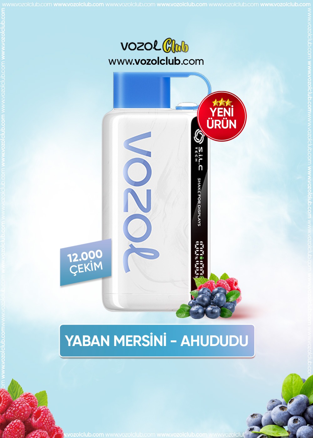 Vozol 12000 Blueberry Storm