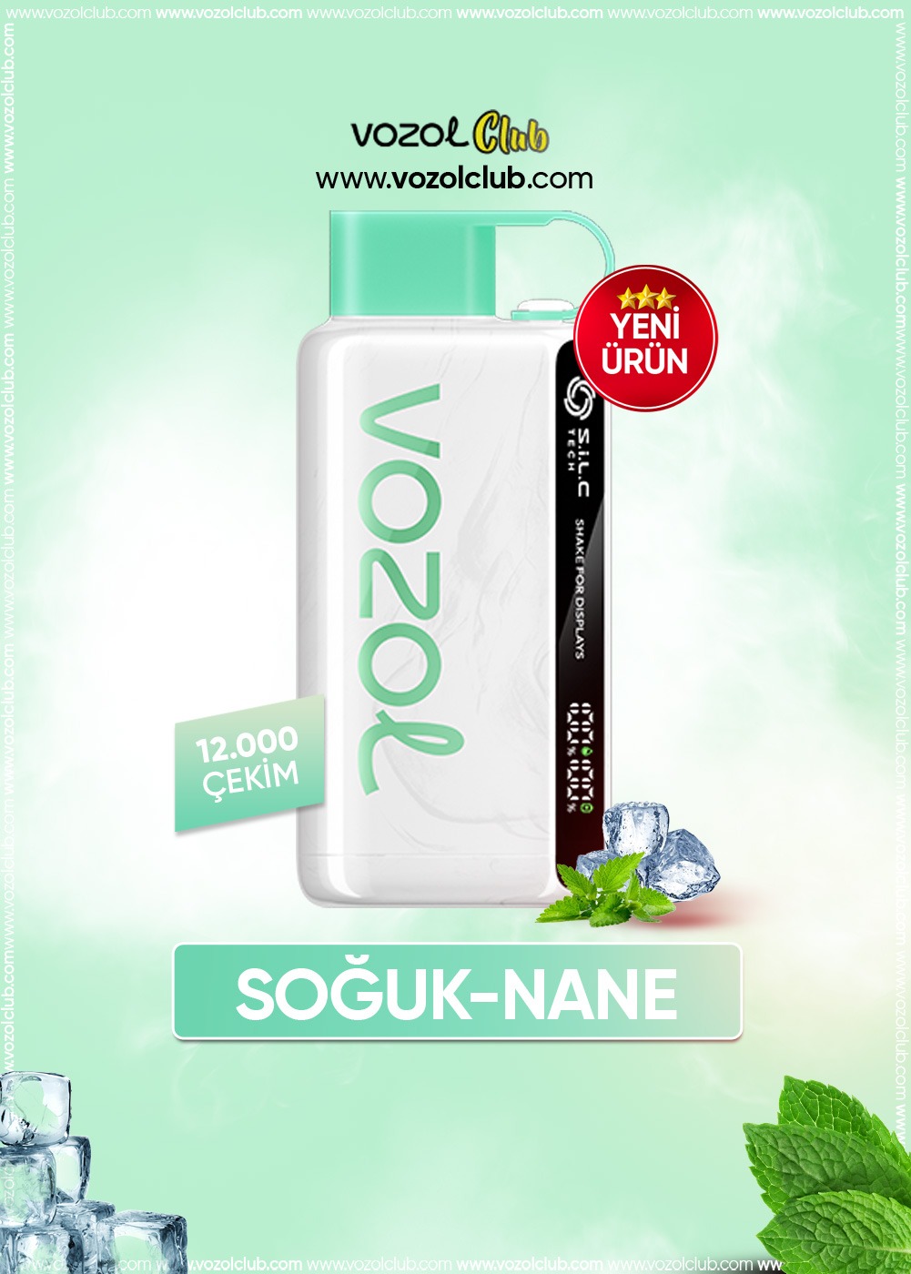 Vozol 12000 Cool Mint