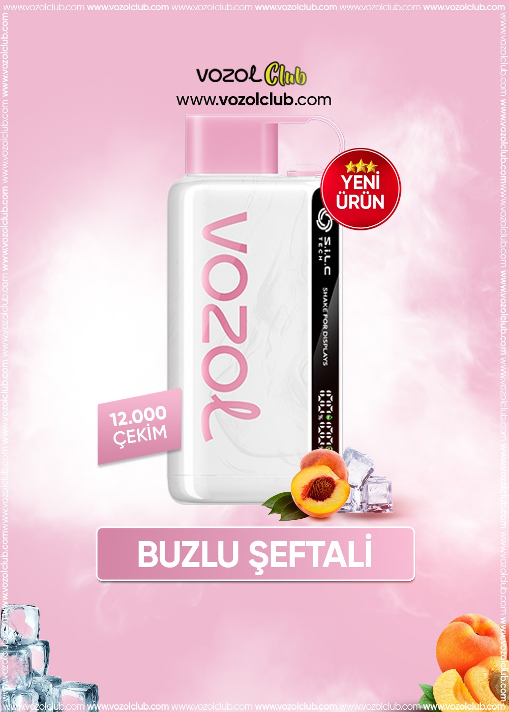 Vozol 12000 Peach Ice