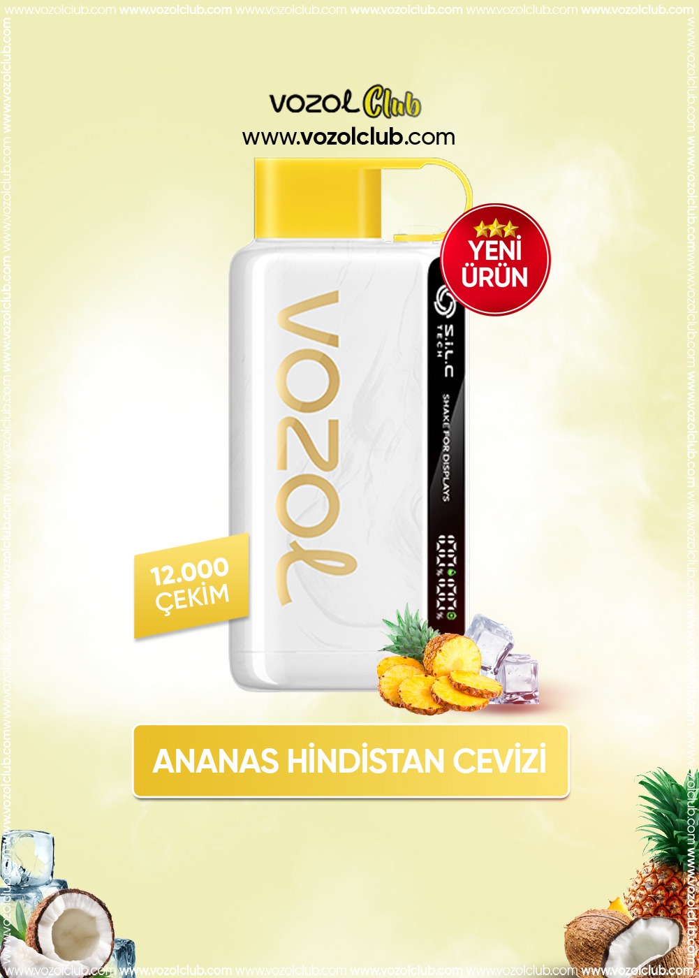 Vozol 12000 Pineapple Coconut Ice
