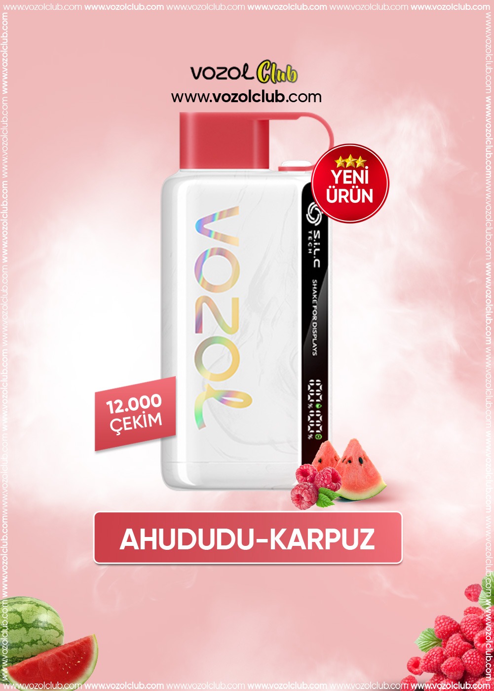 Vozol 12000 Raspberry Watermelon